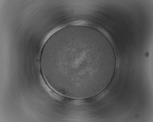 X0000113281434200909211029