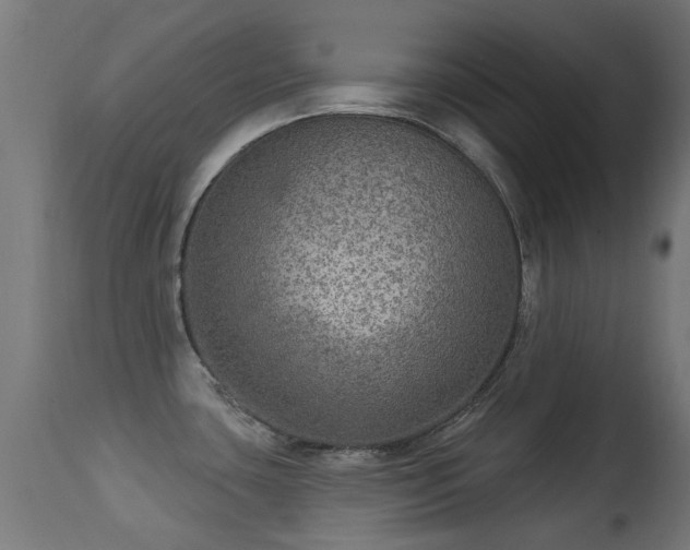 X0000113281435200909211029