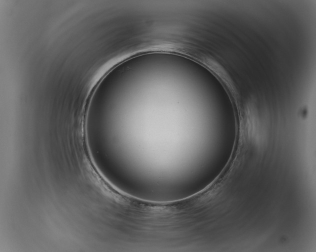 X0000113281436200909211029