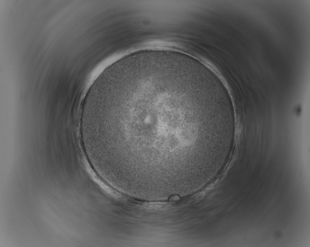 X0000113281437200909211029