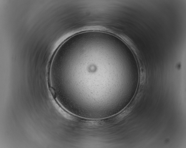 X0000113281438200909211029