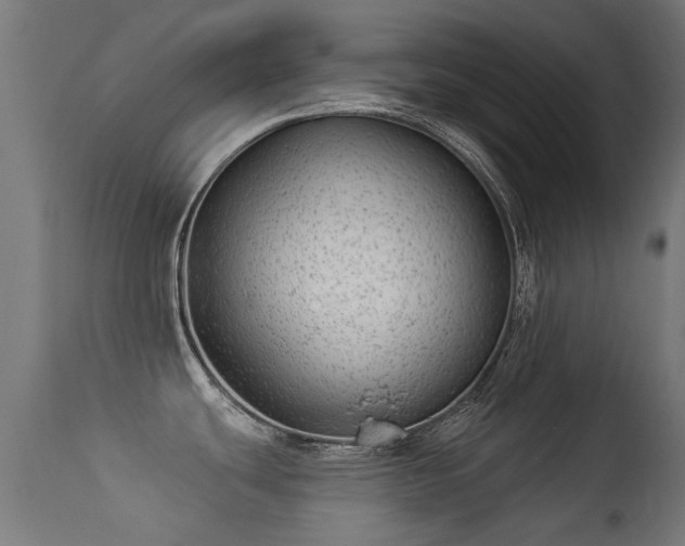 X0000113281439200909211029