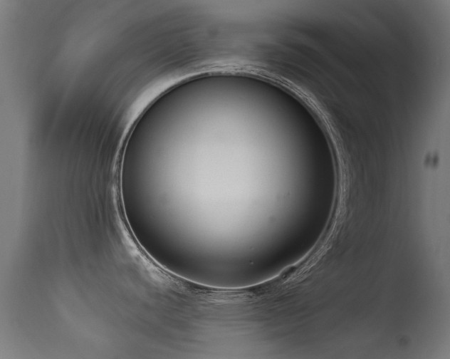 X0000113281440200909211029