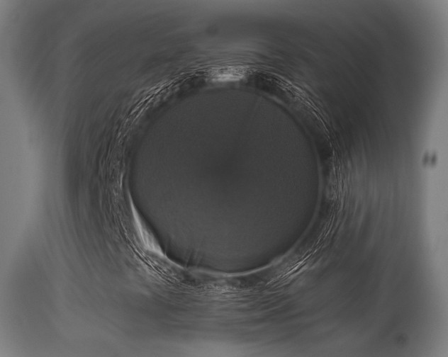 X0000113281441200909211028