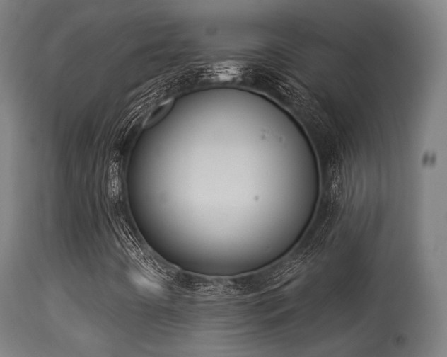 X0000113281442200909211028