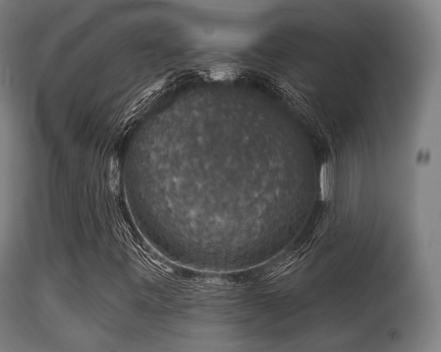 X0000113281443200909211028