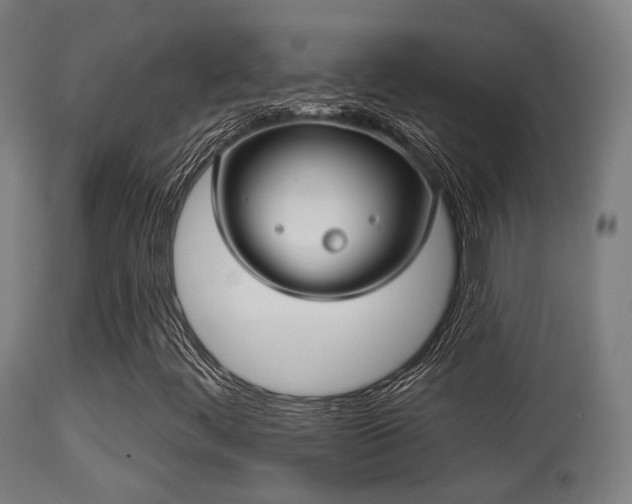 X0000113281444200909211028