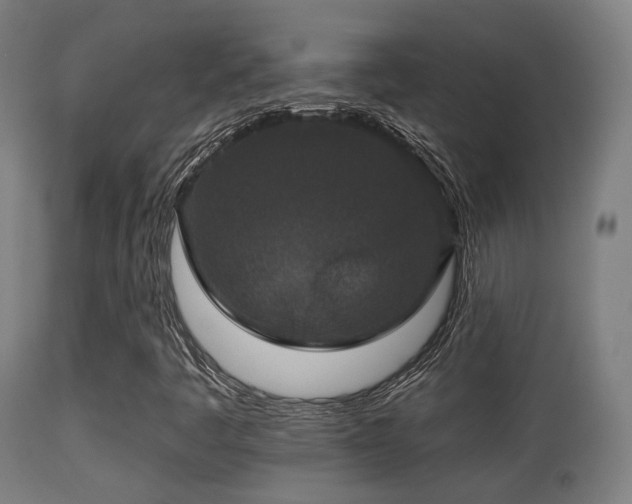 X0000113281445200909211028