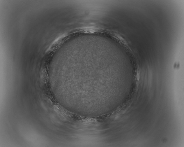 X0000113281446200909211028