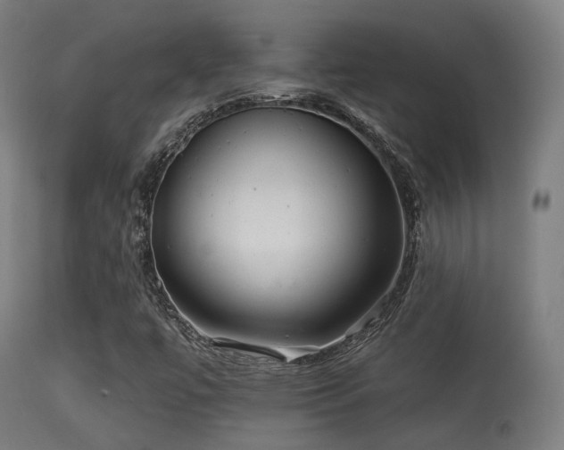 X0000113281447200909211028