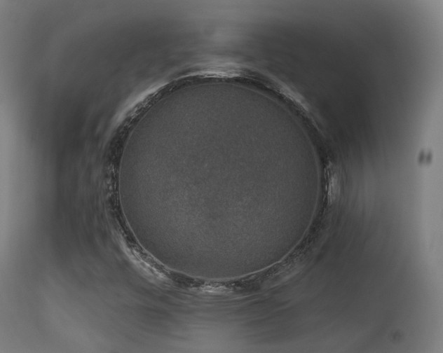 X0000113281448200909211028