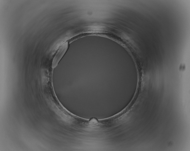 X0000113281449200909211028