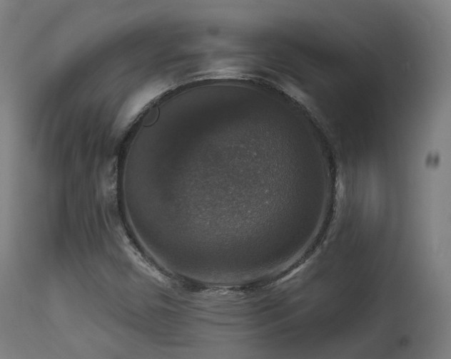 X0000113281450200909211028