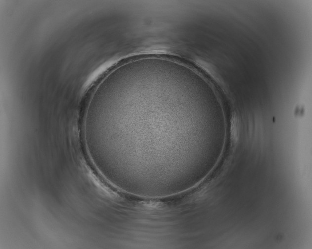 X0000113281452200909211028