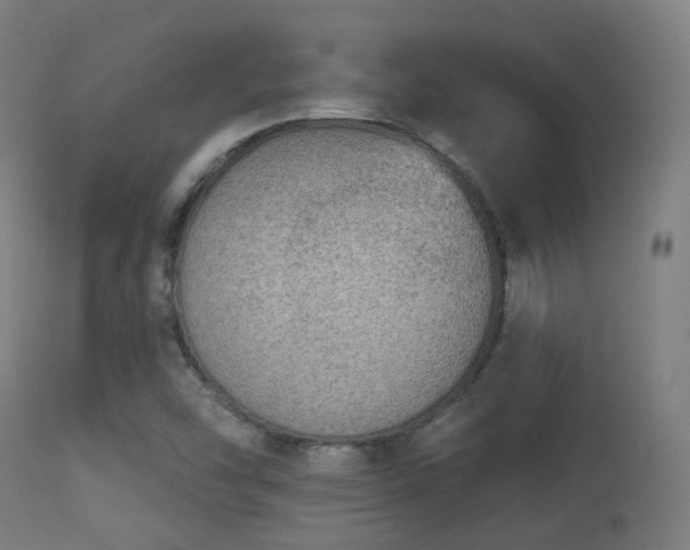 X0000113281454200909211028