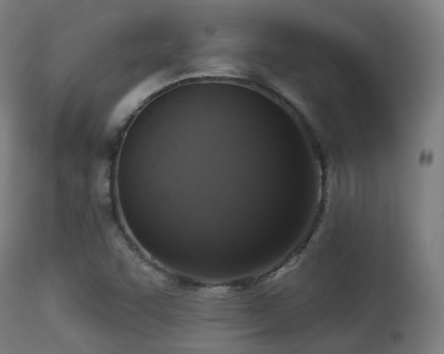 X0000113281455200909211028