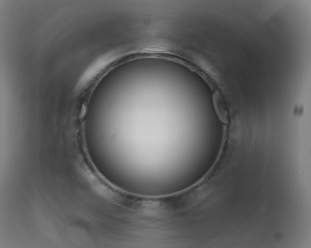 X0000113281456200909211028