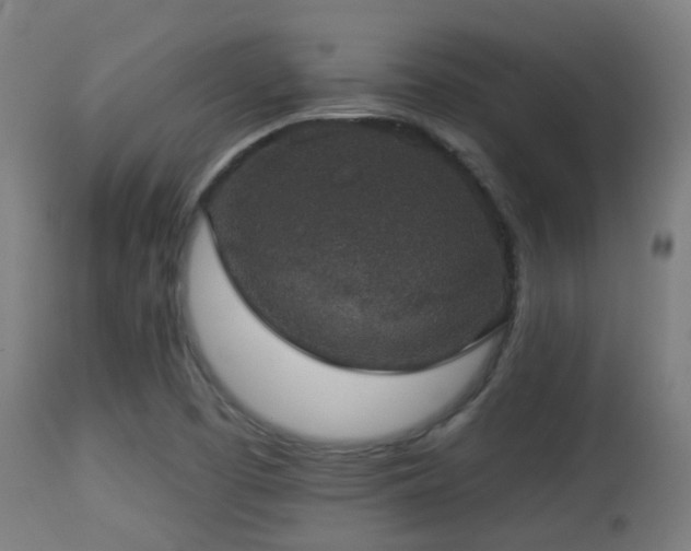 X0000113281457200909211028