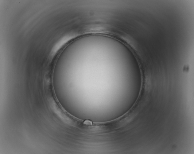 X0000113281458200909211028