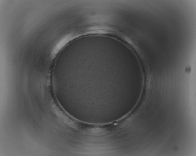 X0000113281459200909211028