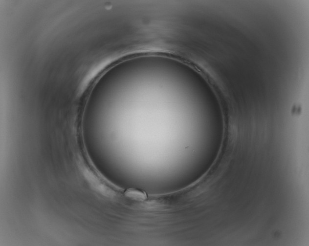 X0000113281460200909211028