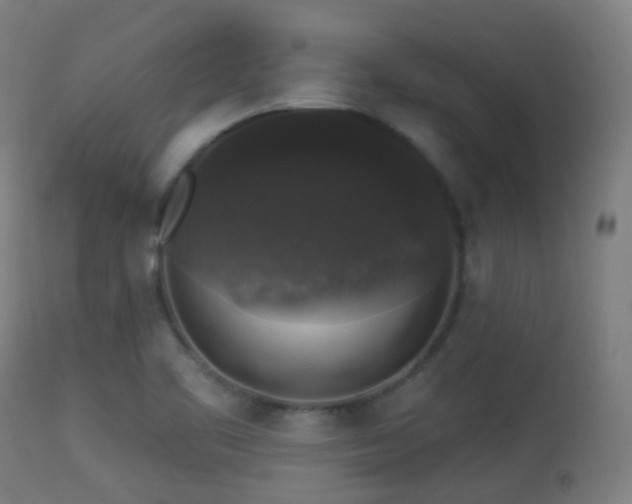 X0000113281461200909211028