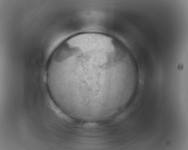 X0000113281462200909211028