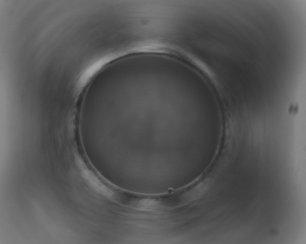 X0000113281463200909211028