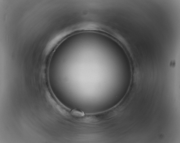 X0000113281464200909211028