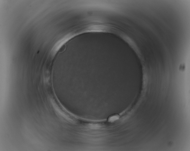 X0000113281465200909211028