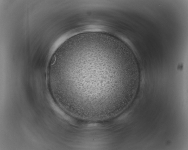 X0000113281467200909211028