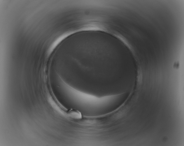 X0000113281468200909211028