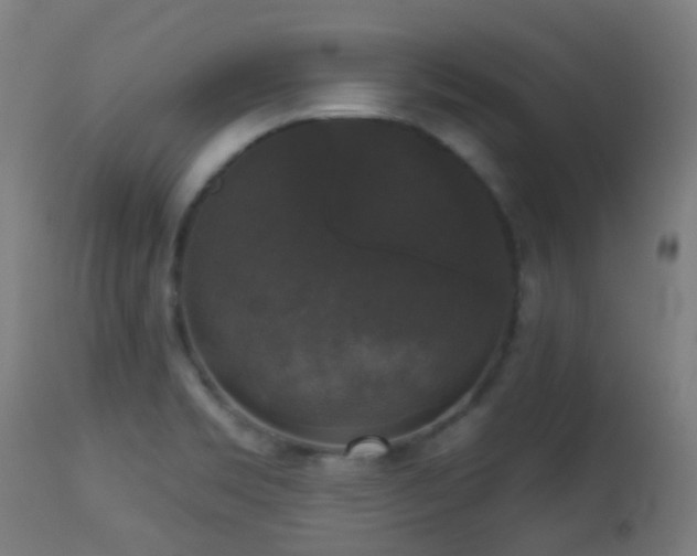 X0000113281469200909211028