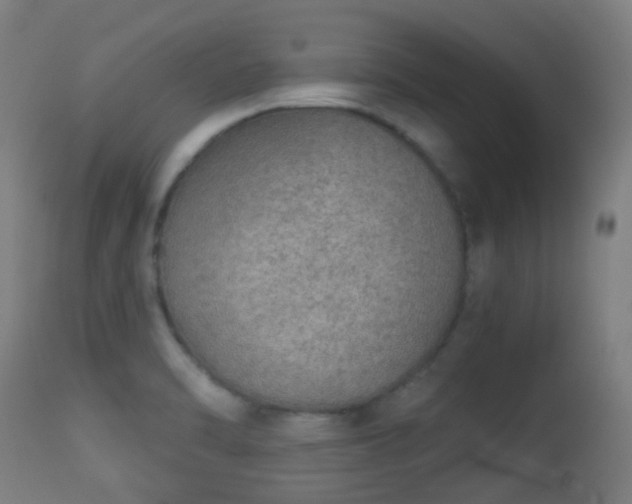 X0000113281470200909211028