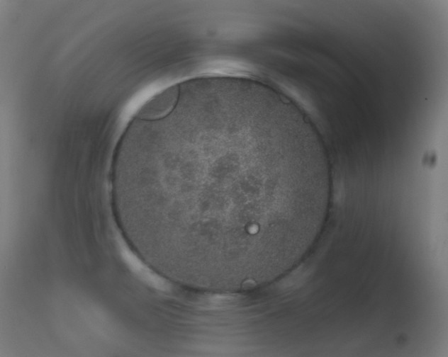 X0000113281471200909211028