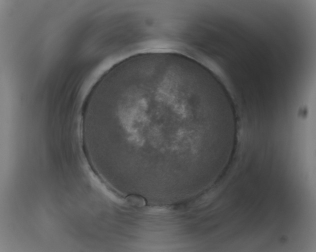 X0000113281472200909211028