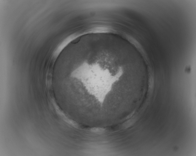 X0000113281473200909211028