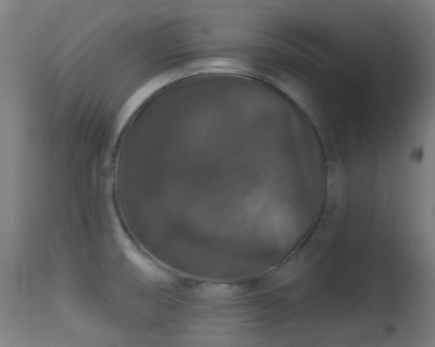 X0000113281474200909211028