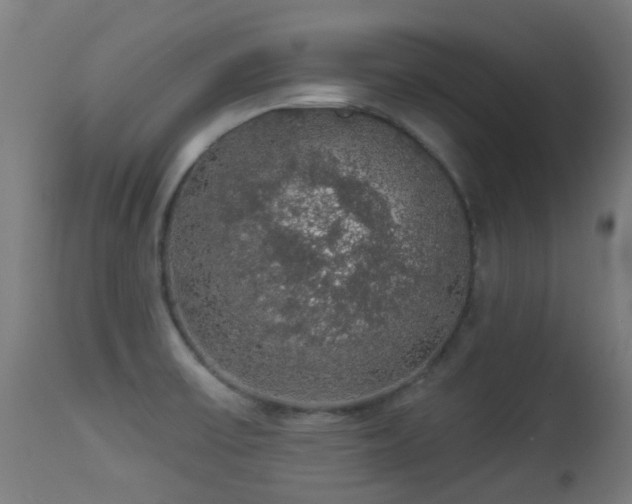 X0000113281475200909211028