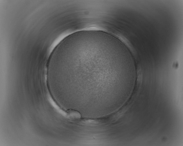 X0000113281476200909211028