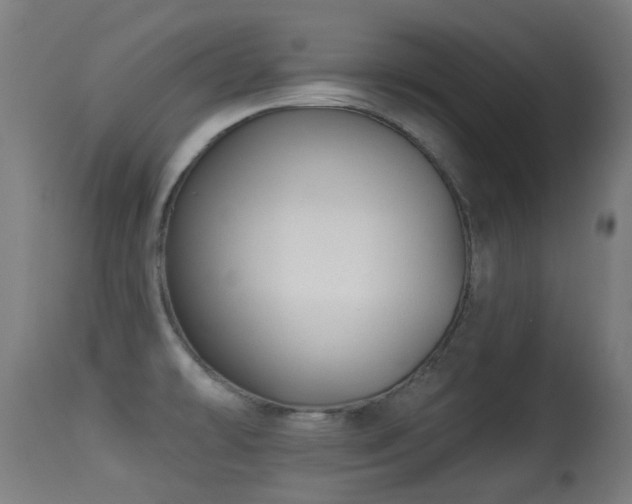 X0000113281478200909211028