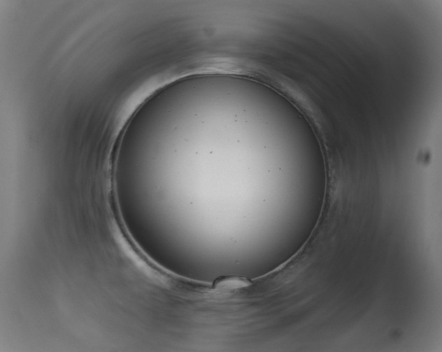 X0000113281479200909211028