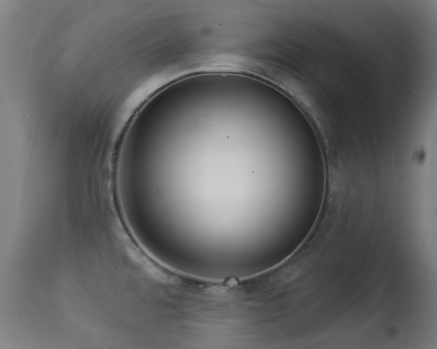 X0000113281480200909211028