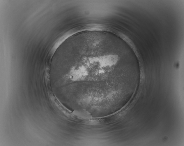 X0000113281481200909211028