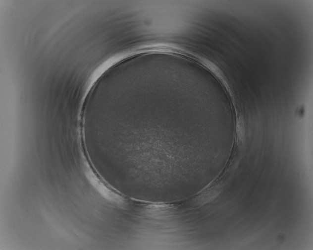 X0000113281482200909211028