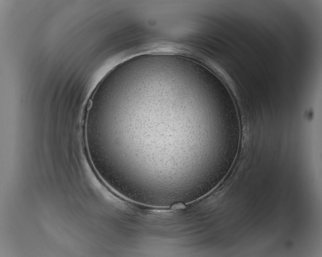 X0000113281483200909211028