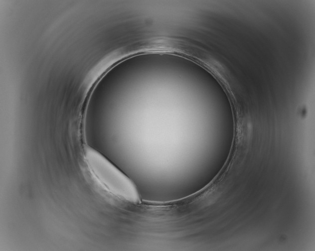 X0000113281484200909211028