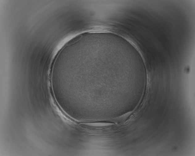 X0000113281485200909211028