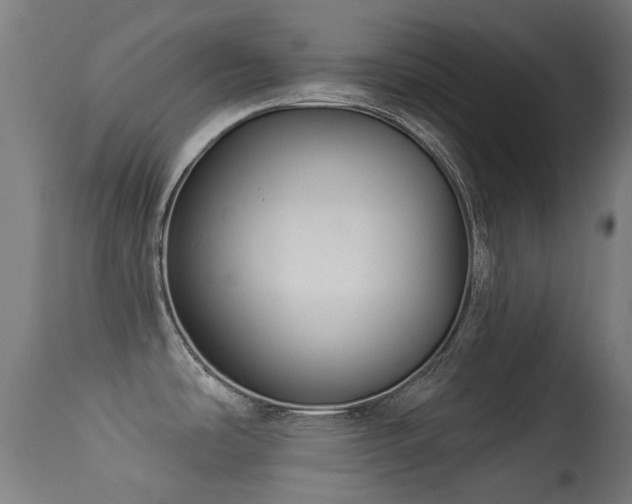 X0000113281486200909211028