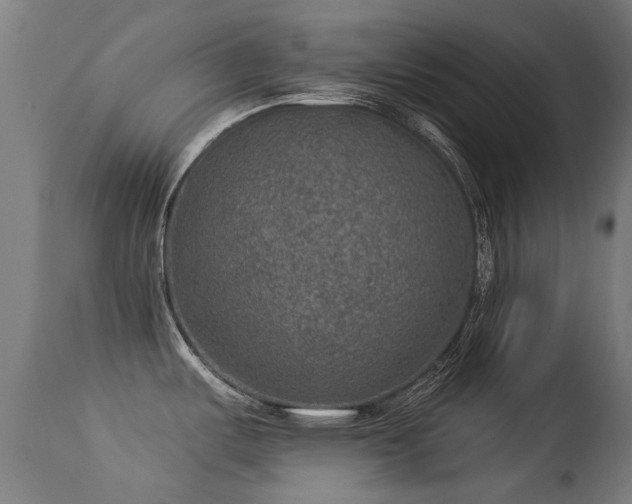 X0000113281487200909211028